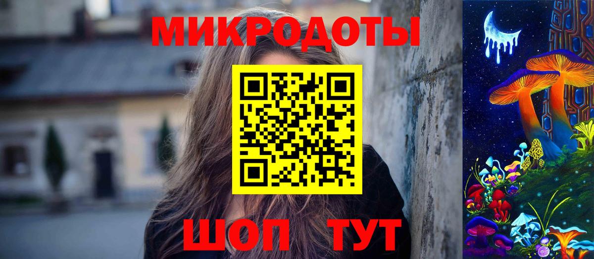 Галлюциногенные грибы Psilocybe Кольчугино