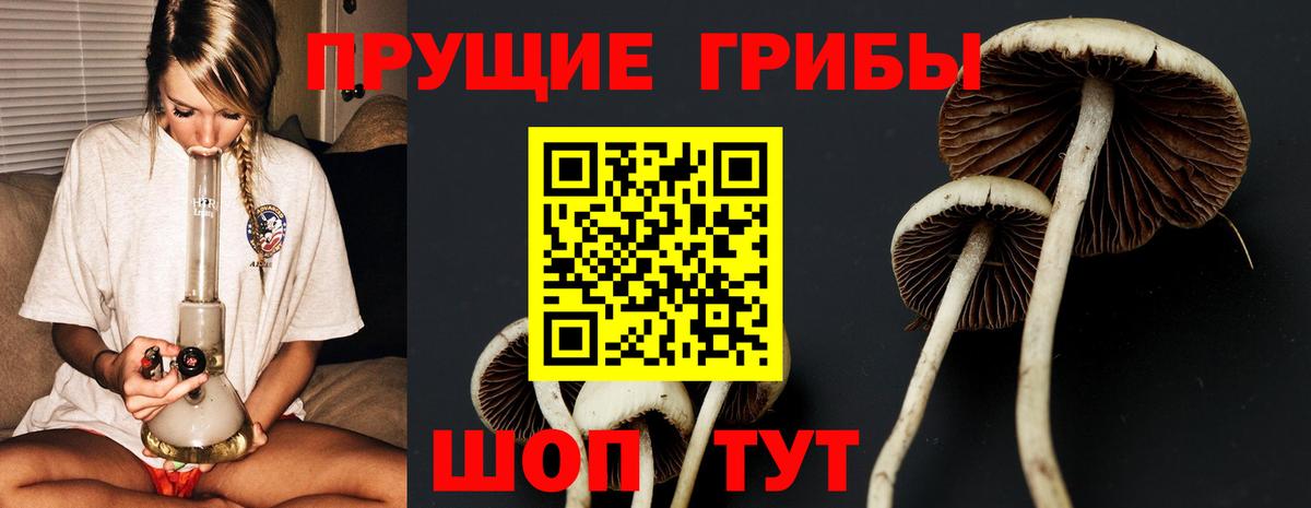 Кольчугино  Галлюциногенные грибы Psilocybine cubensis  Вход с VPN  купить наркоту  Галлюциногенные грибы мицелий 